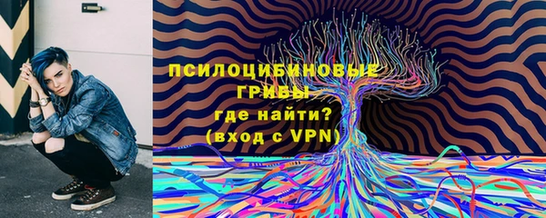 индика Беломорск