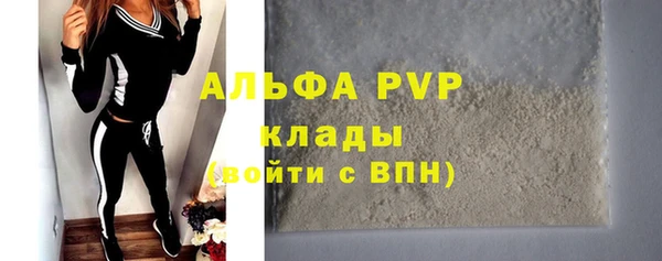 индика Беломорск