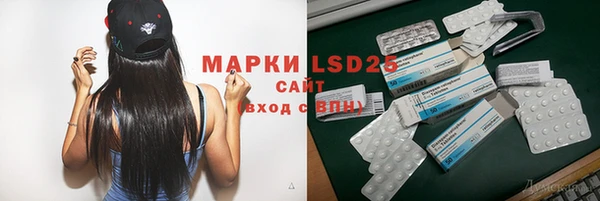 индика Беломорск
