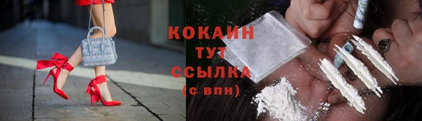 индика Беломорск