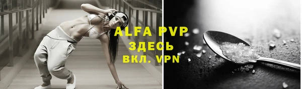 индика Беломорск
