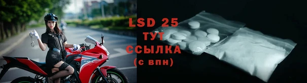 индика Беломорск