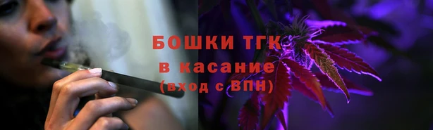 индика Беломорск